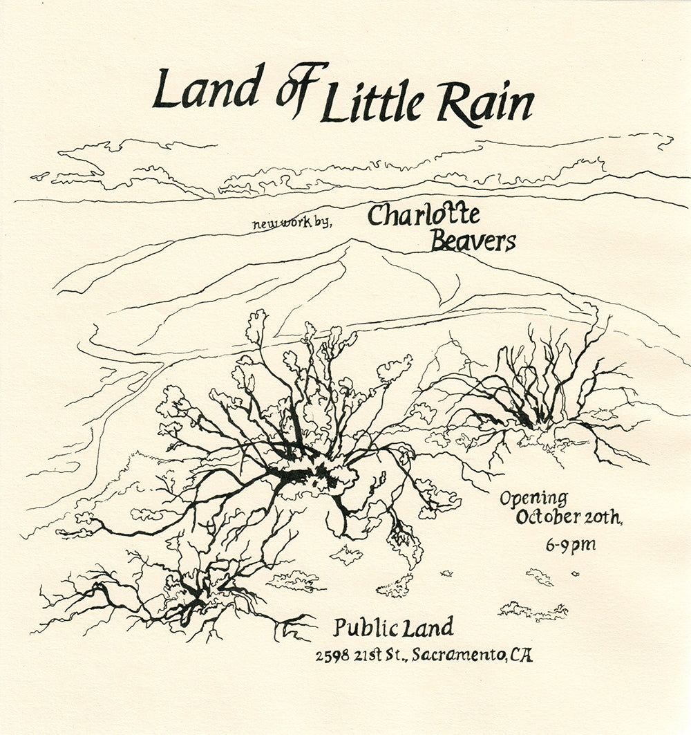 Charlotte Beavers' "Land Of Little Rain" Public Land Public Land Store